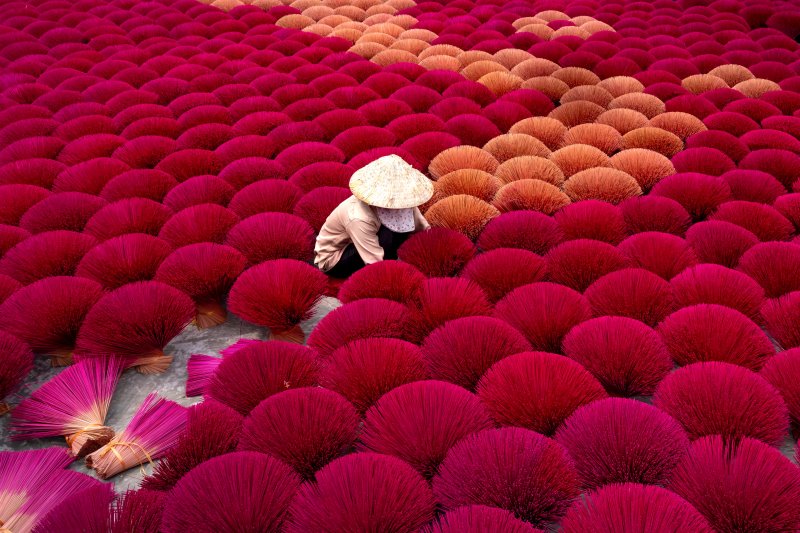Mann in Meer aus pinken Räucherstäbchen Mann in Vietnam mit unzaehligen Raeucherstaebchen