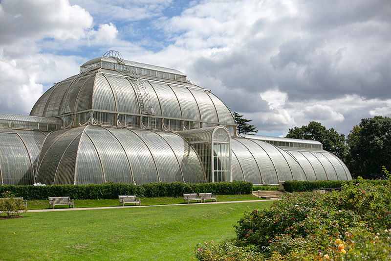 Das Palm House in den Kew Gardens in London älteste Gewächshaus im Test