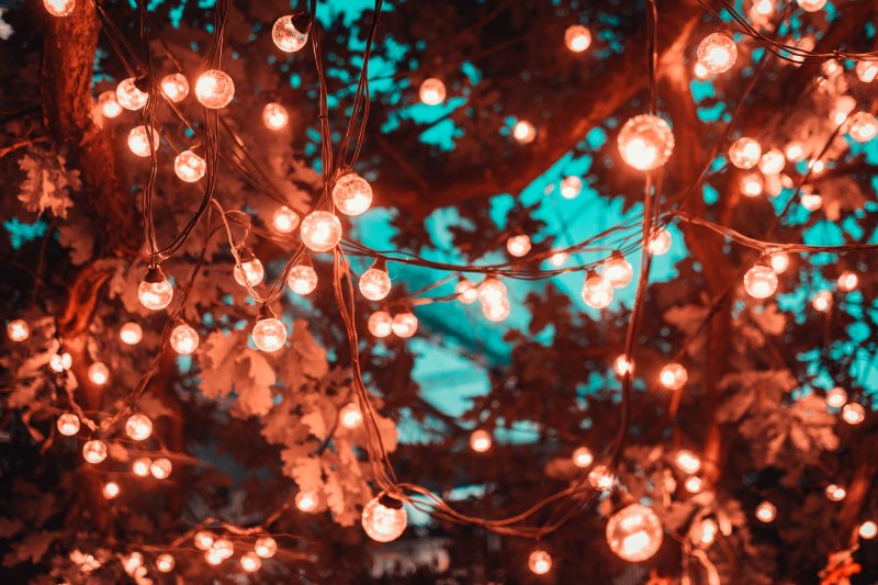 Outdoor Lichterkette im Test Beleuchteter Baum durch Lichterkette mit Glühbirnen