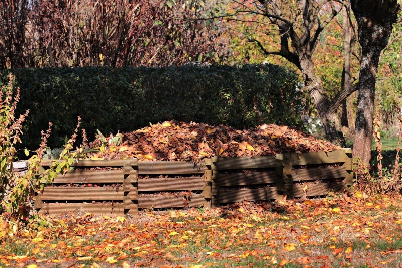 Flächenkompostierung von Herbstlaub