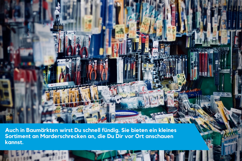 Marderschreck im Baumarkt kaufen