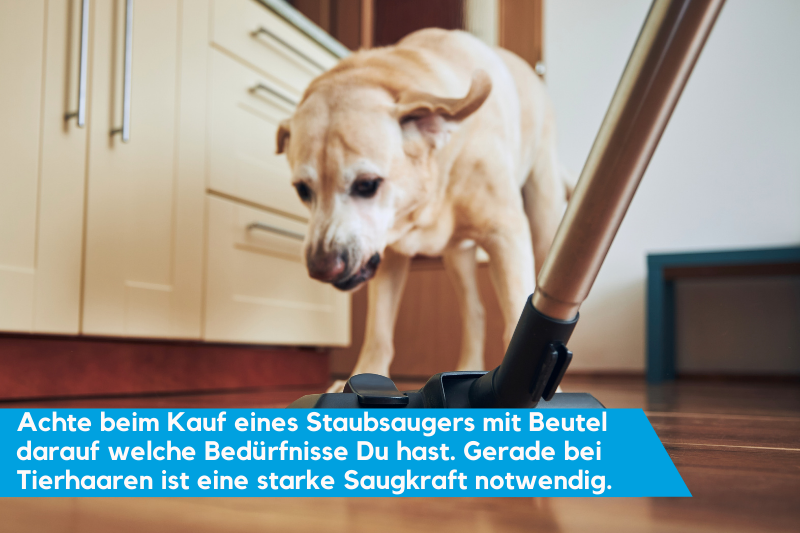 Bei Tierhaaren brauchst Du eine starke Saugkraft