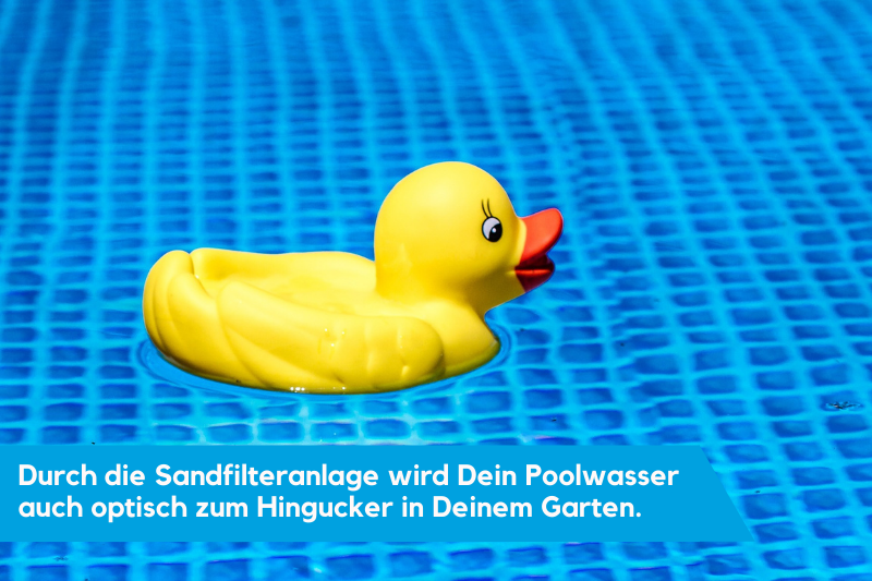 Quitscheentchen im Poolwasser