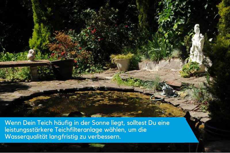 Wenn Dein Teich wie hier viel der Sonne ausgesetzt ist, ist ein leistungsstarker Teichfilter wichtig.